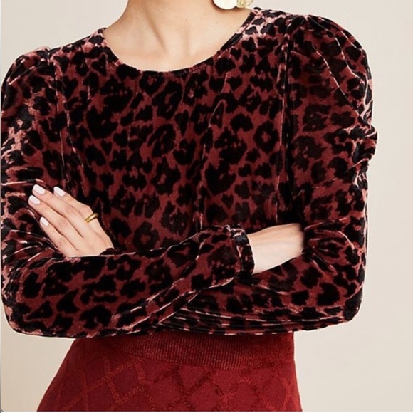 NWT Anthropologie Dolan Charley Velvet Leopard Top Medium - Picture 1 of 7